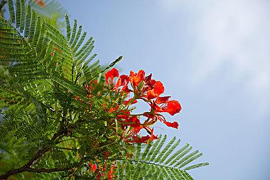 SE区块链游戏《共生起源》首支预告 有上万角色